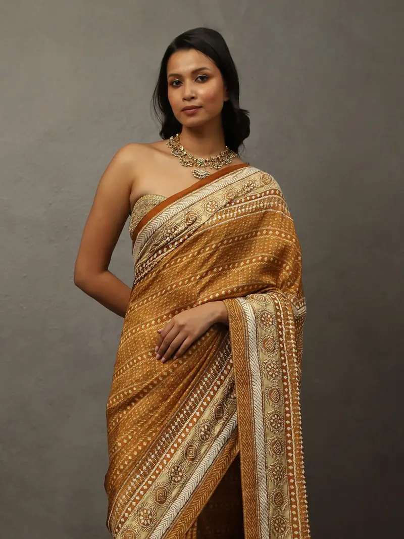 Camel Brown Bhairavi Saree With Unstitched Blouse